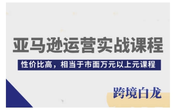 亚马逊运营实战课程，亚马逊从入门到精通，性价比高，相当于市面万元以上元课程-爱找项目网