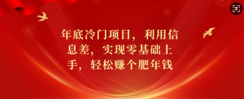 年底冷门项目，利用信息差，实现零基础上手，轻松赚个肥年钱【揭秘】-爱找项目网