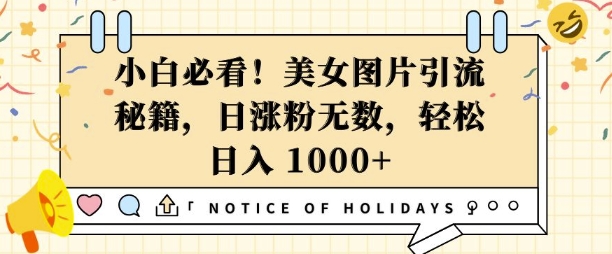 小白必看，美女图片引流秘籍，日涨粉无数，轻松日入几张【揭秘】-爱找项目网