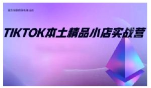 TikTok本土精品小店出海实战营,从入门到高阶,不止0-1!-爱找项目网