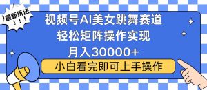 视频号蓝海赛道玩法，当天起号，拉爆流量收益，小白也能轻松月入30000+-爱找项目网