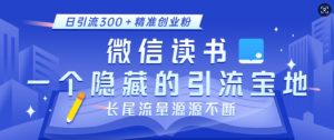 微信读书，一个隐藏的引流宝地，不为人知的小众打法，日引流300+精准创业粉，长尾流量源源不断-爱找项目网