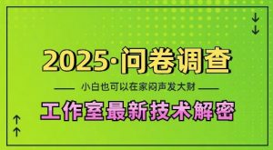 2025问卷调查最新工作室技术解密：一个人在家也可以闷声发大财，小白一天2张，可矩阵放大【揭秘】-爱找项目网
