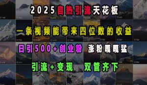 2025自热引流天花板，一条视频能带来四位数的收益，引流+变现双管齐下，日引500+创业粉，涨粉嘎嘎猛-爱找项目网