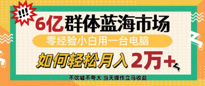 6亿群体蓝海市场，零经验小白用一台电脑，如何轻松月入过w【揭秘】-爱找项目网