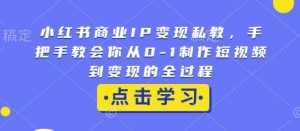 小红书商业IP变现私教，手把手教会你从0-1制作短视频到变现的全过程-爱找项目网