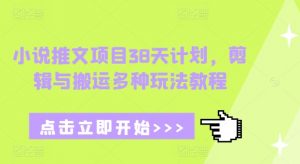 小说推文项目38天计划，剪辑与搬运多种玩法教程-爱找项目网