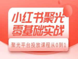 小红书聚光零基础实战，聚光平台投放课程从0到1-爱找项目网