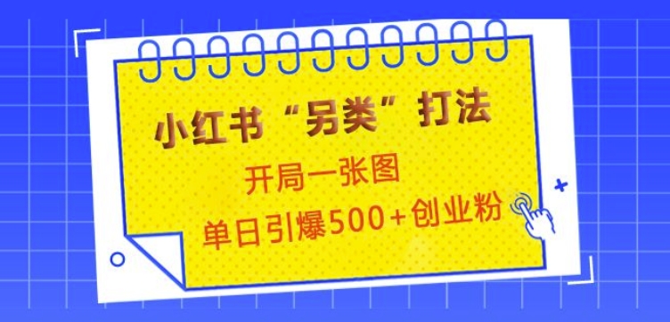 小红书“另类”打法，开局一张图，单日引爆500+精准创业粉【揭秘】-爱找项目网