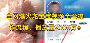 全网爆火龙宝宝视频全套操作流程,播放量2000万+-爱找项目网