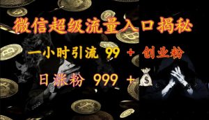 微信超级流量入口揭秘：一小时引流 99 + 创业粉，日涨粉 999 +-爱找项目网