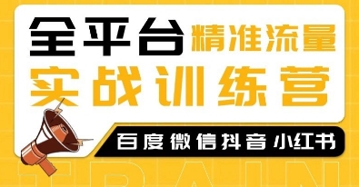 全平台精准流量实战训练营，百度微信抖音小红书SEO引流教程-爱找项目网