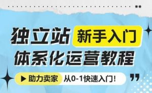 独立站新手入门体系化运营教程，助力独立站卖家从0-1快速入门!-爱找项目网