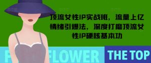 顶流女性IP实战班,流量上亿情绪引爆法,深度打磨顶流女性IP硬核基本功-爱找项目网