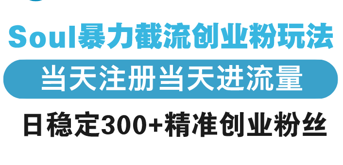 Soul暴力截流创业粉玩法，当天注册当天进流量，日稳定300+精准创业粉丝-爱找项目网