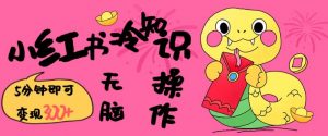 小红书冷知识账号，无脑复制粘贴，5分钟即可变现3张-爱找项目网