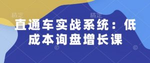 直通车实战系统:低成本询盘增长课,让个人通过技能实现升职加薪,让企业低成本获客,订单源源不断-爱找项目网