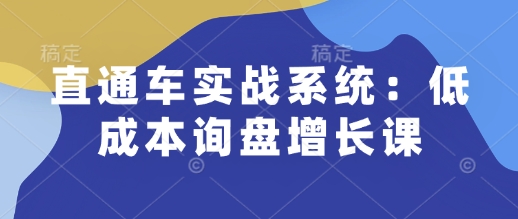 直通车实战系统：低成本询盘增长课，让个人通过技能实现升职加薪，让企业低成本获客，订单源源不断-爱找项目网