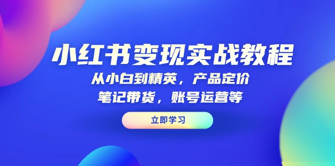 小红书变现实战教程：从小白到精英，产品定价，笔记带货，账号运营等-爱找项目网