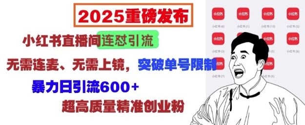 2025重磅发布：小红书直播间连怼引流，无需连麦、无需上镜，突破单号限制，暴力日引流600+-爱找项目网