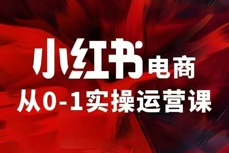 小红书电商运营，97节小红书vip内部课，带你实现小红书赚钱-爱找项目网