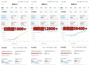 拼多多虚拟店铺项目，电脑挂机自动发货，单店日利润300+-爱找项目网