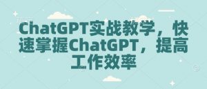 ChatGPT实战教学,快速掌握ChatGPT,提高工作效率-爱找项目网