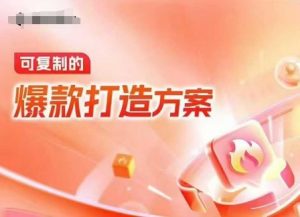 天猫电商爆款运营,可复制的爆款打造方案(线下内训课录音+字幕)-爱找项目网