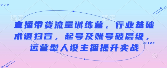 直播带货流量训练营，行业基础术语扫盲，起号及账号破层级，运营型人设主播提升实战-爱找项目网