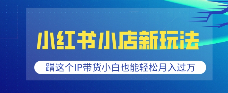 小红书小店新玩法，蹭这个IP带货，小白也能轻松月入过W【揭秘】-爱找项目网