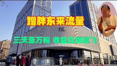 蹭胖东来流量，三天涨万粉，收益直接起飞-爱找项目网