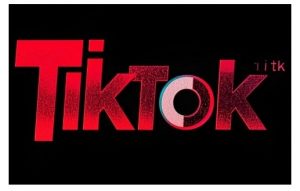 TikTok ads投流秘籍，涵盖tiktok整体投放思路，教你搭建测试计划-爱找项目网