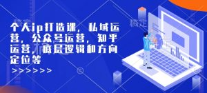 个人ip打造课，私域运营，公众号运营，知乎运营，底层逻辑和方向定位等-爱找项目网