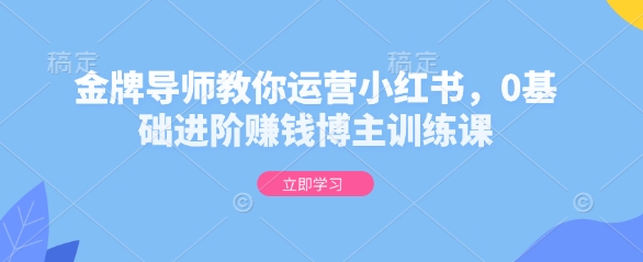 金牌导师教你运营小红书，0基础进阶赚钱博主训练课-爱找项目网