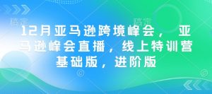 12月亚马逊跨境峰会， 亚马逊峰会直播，线上特训营基础版，进阶版-爱找项目网