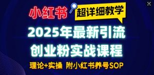 2025年最新小红书引流创业粉实战课程【超详细教学】小白轻松上手，月入1W+，附小红书养号SOP-爱找项目网