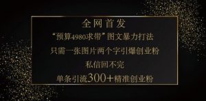 小红书神奇图片引流法,只需一张图,就能单条笔记凭借此方法,轻松引流 300 + 精准创业粉-爱找项目网