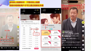 书阳老师·短剧运营变现之路-爱找项目网