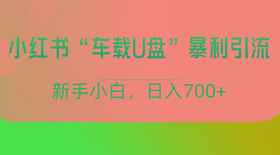 小红书“车载U盘”项目，暴利引流，新手小白轻松日入700+-爱找项目网