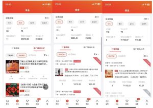 2025最新京东蓝海项目，0 门槛日入 1k+，小白宝妈轻松上手【揭秘】-爱找项目网