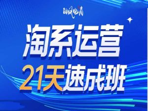 淘系运营21天速成班35期，年前最后一波和2025方向-爱找项目网