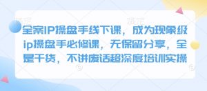 全案IP操盘手线下课，成为现象级ip操盘手必修课，无保留分享，全是干货，不讲废话超深度培训实操-爱找项目网