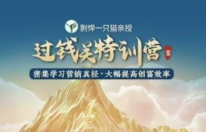 剽悍一只猫-过钱关特训营，学习营销真经 大幅度提高创富效率-爱找项目网