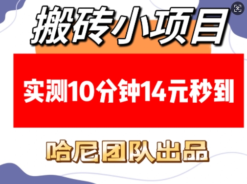 搬砖小项目，实测10分钟14元秒到，每天稳定几张(赠送必看稳定)-爱找项目网
