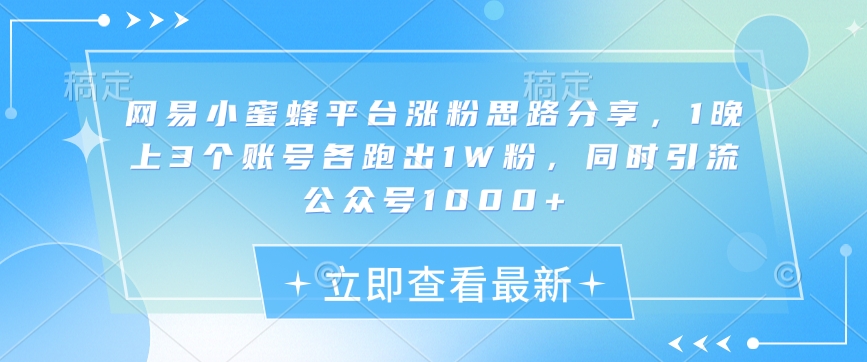 网易小蜜蜂平台涨粉思路分享，1晚上3个账号各跑出1W粉，同时引流公众号1000+-爱找项目网