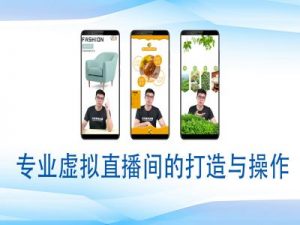 个人虚拟直播间的搭建与操作，专业虚拟直播间的打造与操作-爱找项目网