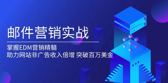 邮件营销实战，掌握EDM营销精髓，助力网站非广告收入倍增，突破百万美金-爱找项目网