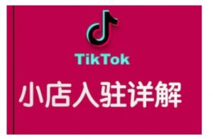 TikTok跨境小店运营全攻略，帮助你独立运营TK跨境小店的能力，实现销量增长-爱找项目网