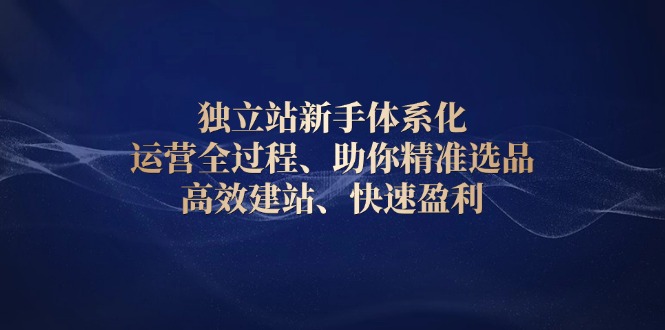 独立站新手体系化 运营全过程，助你精准选品、高效建站、快速盈利-爱找项目网