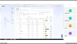 蓝狐电商·抖音商城运营课程(更新2025年1月)-爱找项目网